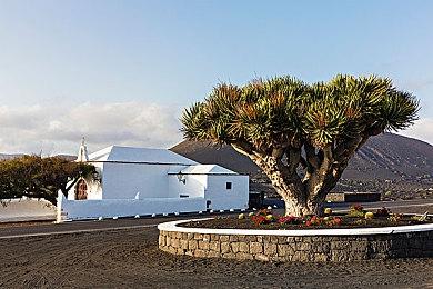 《动物派对》发售时将支持DLSS2 & Reflex技术