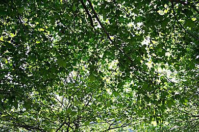 《死亡岛2》玩家人数已超700万 官方计划推出新更新