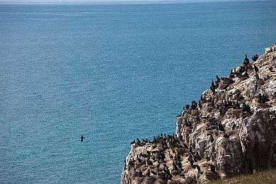日本PC玩家无缘《合金装备崛起：复仇》 科乐美致歉